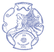 Escuela Telesecundaria 29